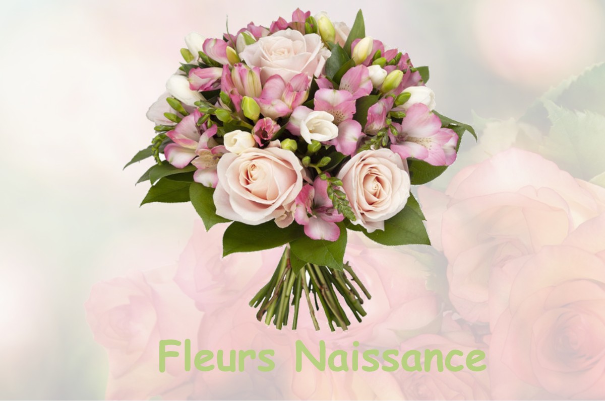 fleurs naissance SAINT-PANCRASSE